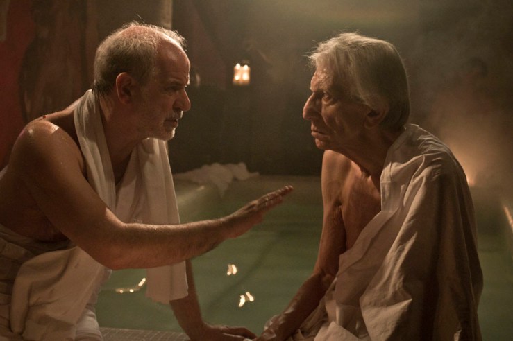 Bella addormentata 13