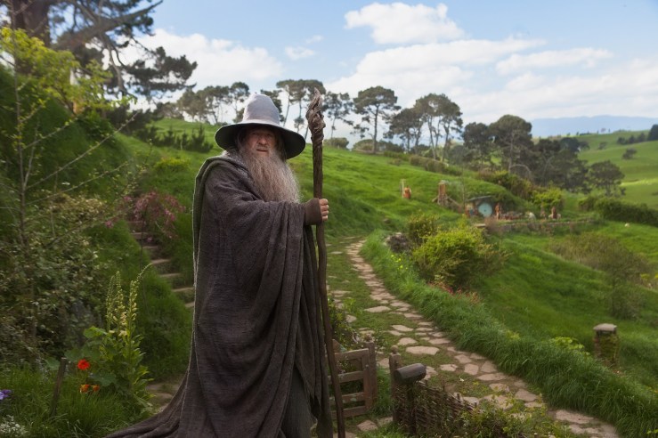 the-hobbit-an-unexpected-journey-ian-mckellan