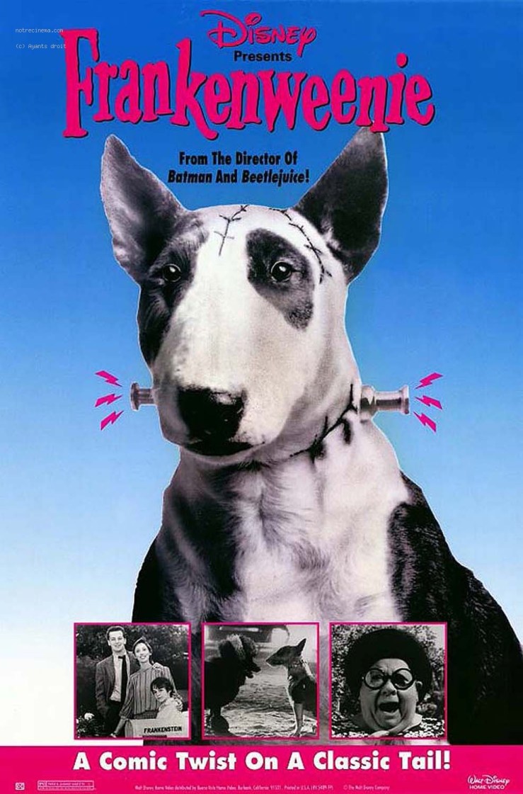 frankenweenie-affiche_392471_23259