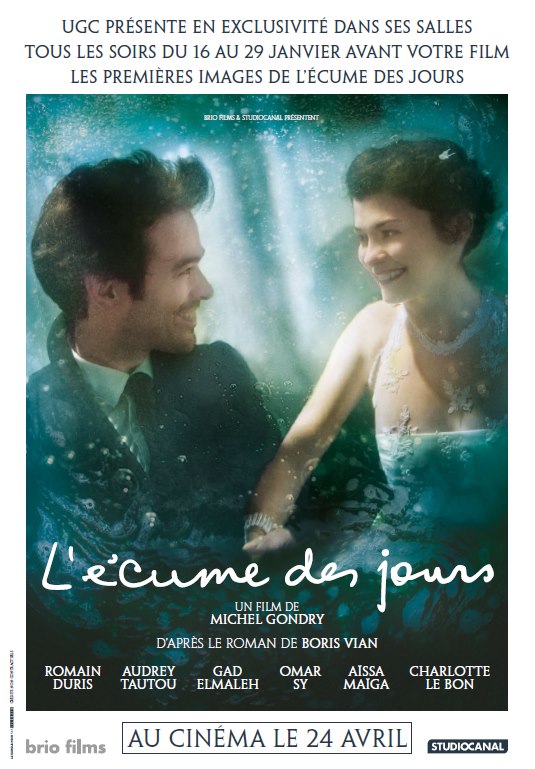 L'ecume des jours poster