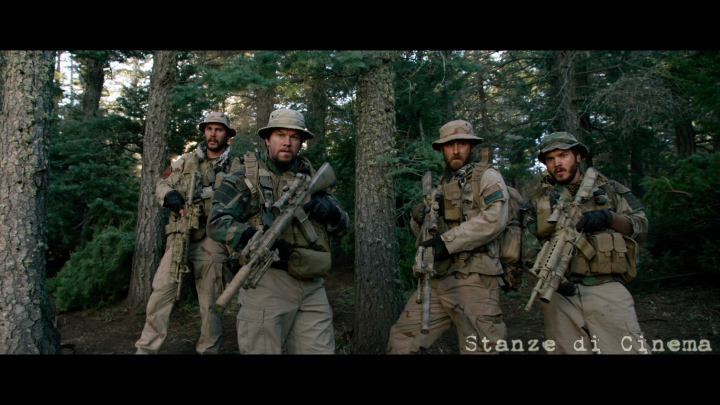 lone survivor stanze7