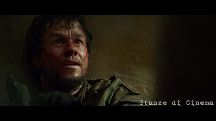 lone survivor stanze9
