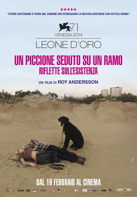 piccione_poster_hd