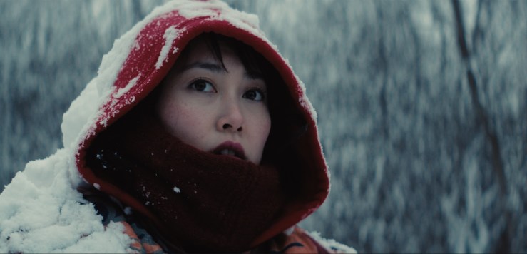 rinko-kikuchi-kumiko-treasure-hunter